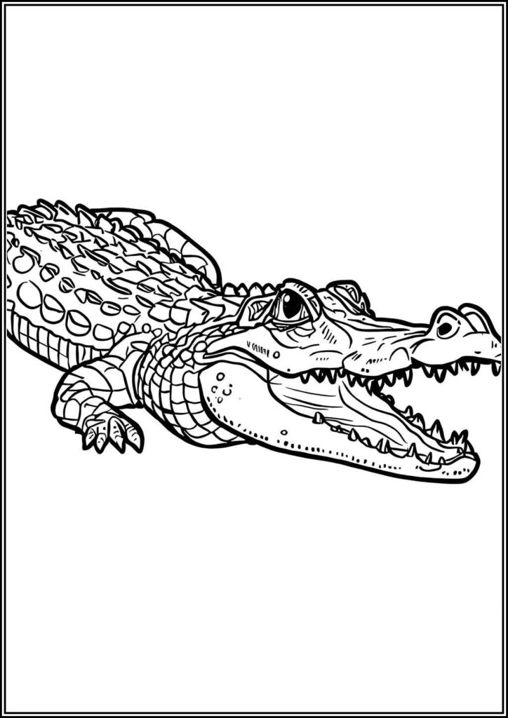 Printable An Alligator Coloring - TotalColoring.Com