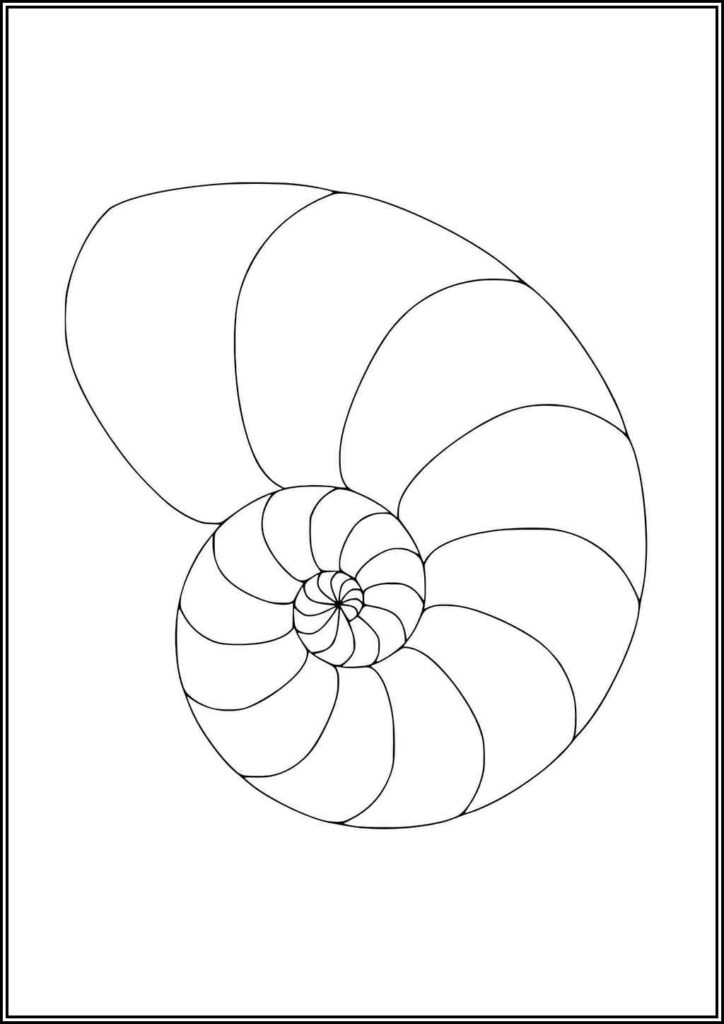 Nautilus Coloring Pages Free Printable Pdf - TotalColoring.Com