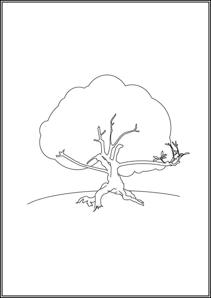 Oak Tree And Leaves Coloring Pages Free Printable Pdf - TotalColoring.Com