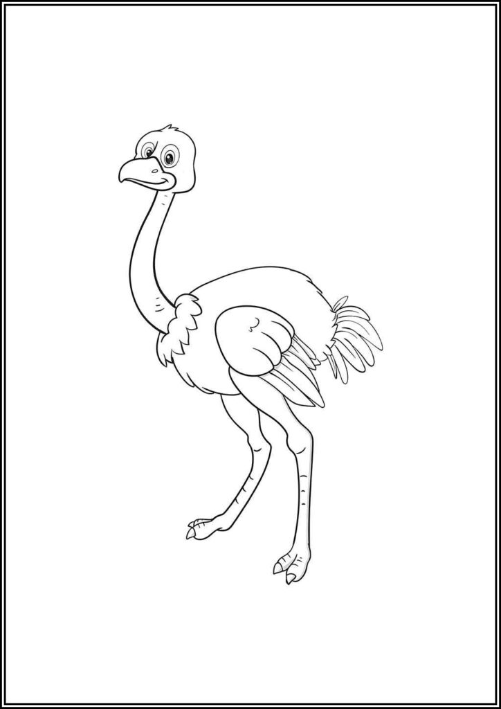 Ostrich Coloring Pages Free Printable Pdf - TotalColoring.Com