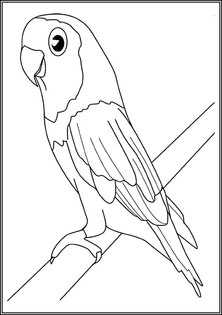 Parakeets Coloring Pages Free Printable Pdf - TotalColoring.Com