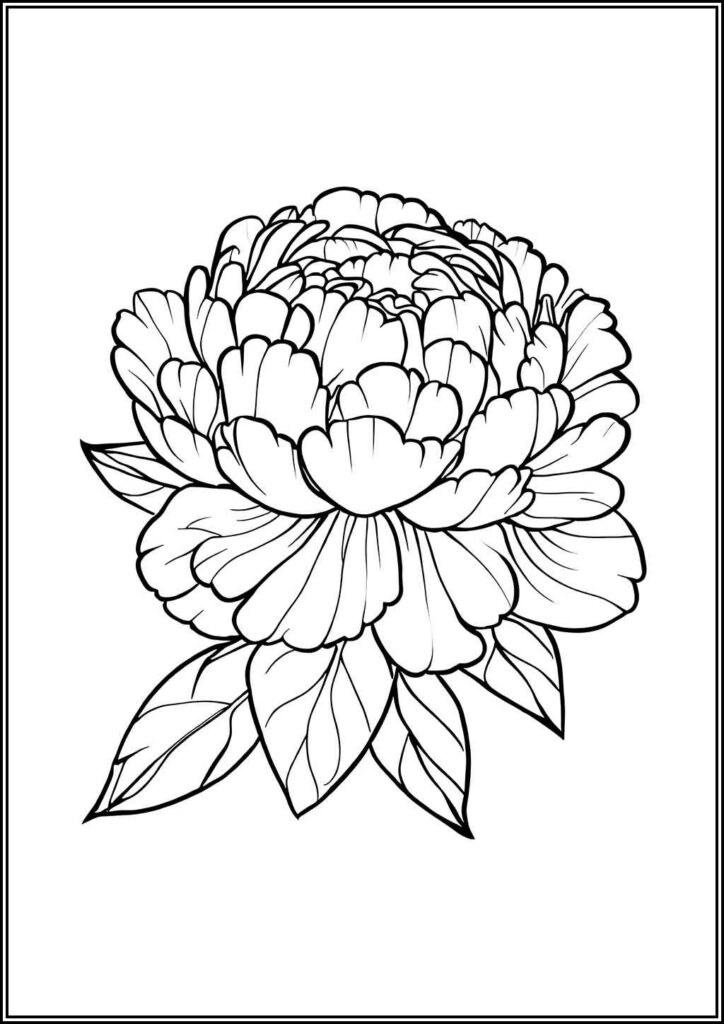 Peony Coloring Pages Free Printable Pdf - TotalColoring.Com