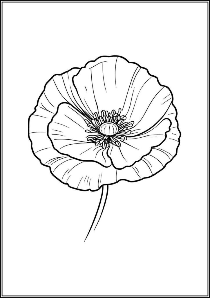 Poppies Coloring Pages Free Printable Pdf - TotalColoring.Com