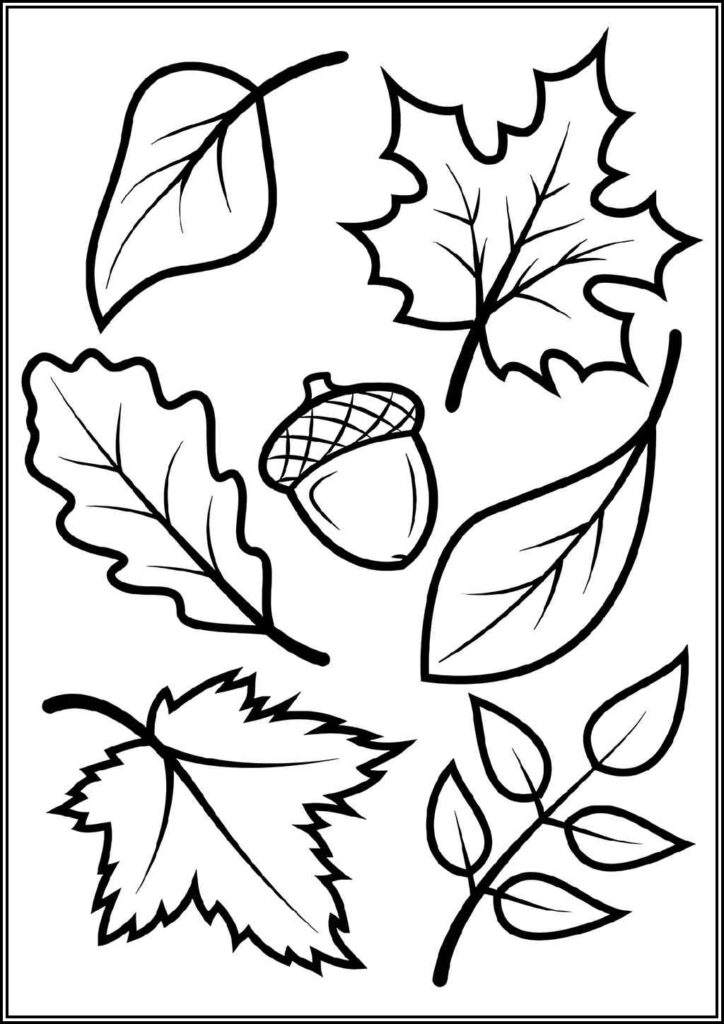 Basic Acorn With Leaves Coloring - TotalColoring.Com