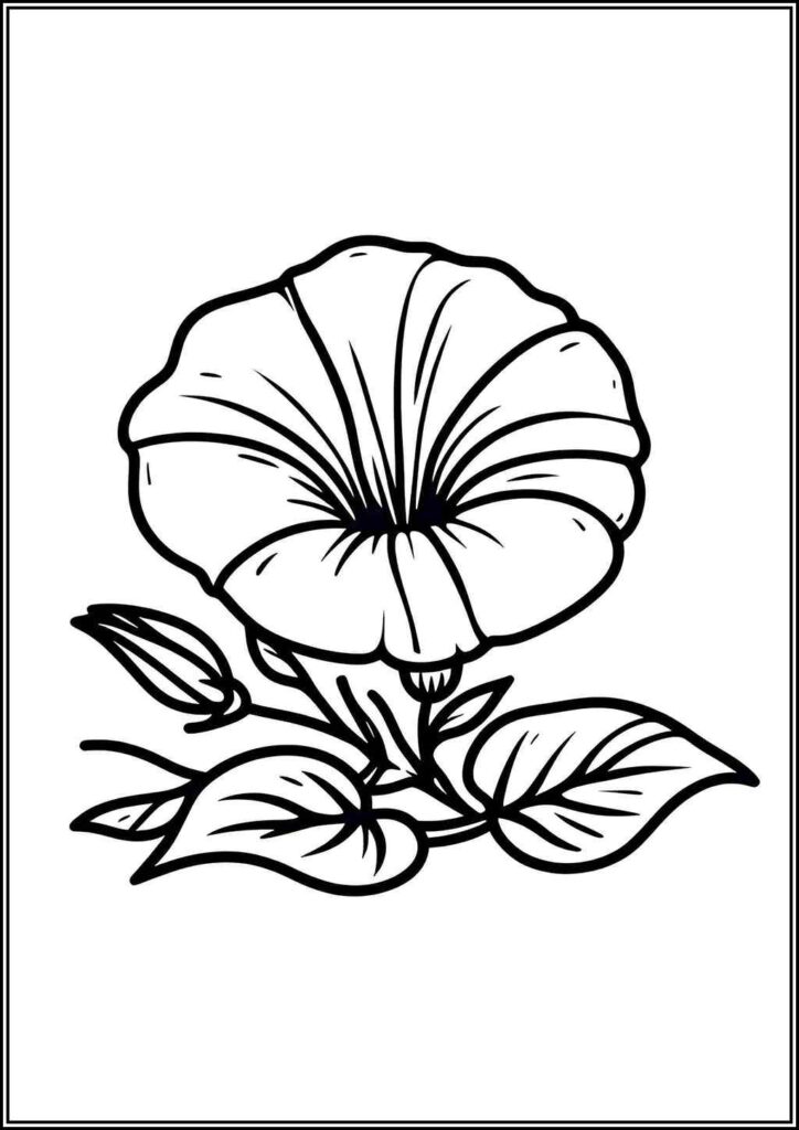 Basic Morning Glory Flower Coloring - TotalColoring.Com