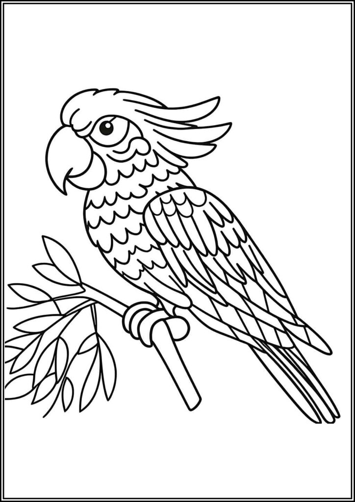 Happy Macaw Coloring - TotalColoring.Com