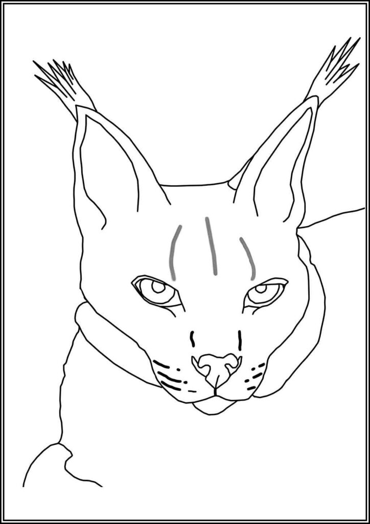 Lynx Face Coloring - TotalColoring.Com