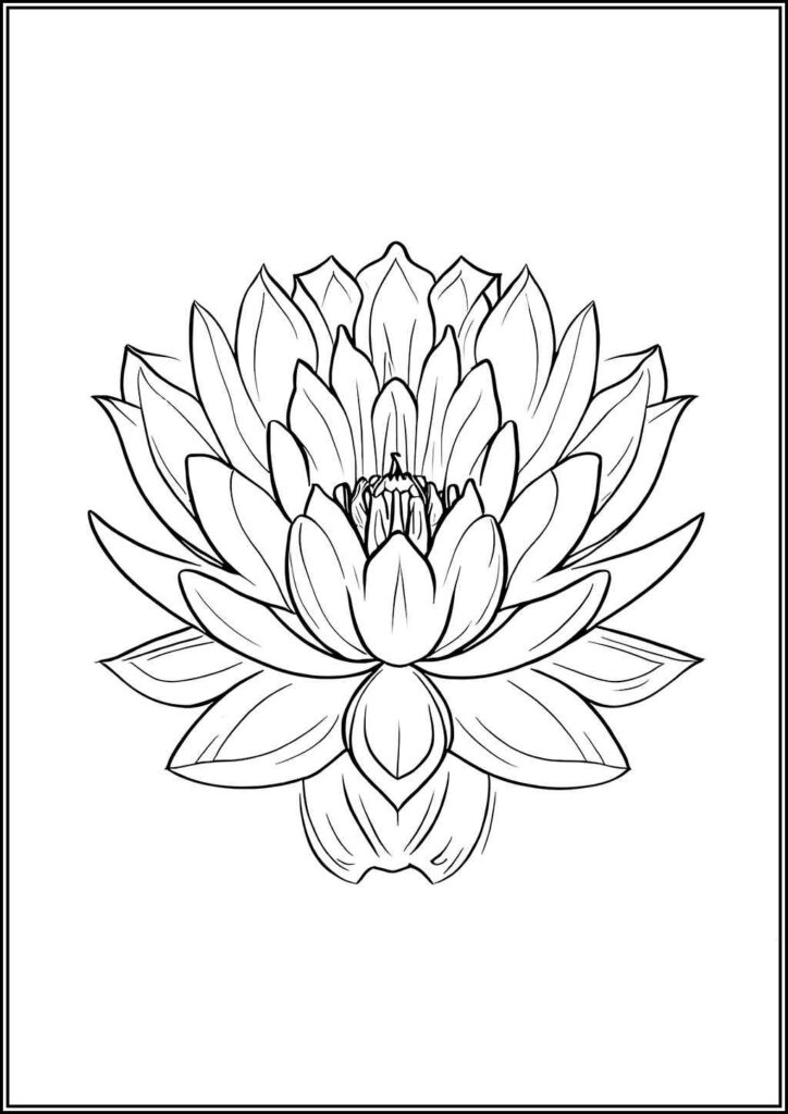 Very Beautiful Lotus Flower Coloring - TotalColoring.Com