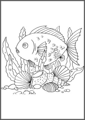 A Beautiful Fish Swims Above The Seashells - TotalColoring.Com