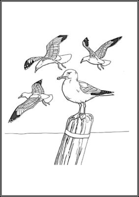 Four Seagulls Coloring - TotalColoring.Com