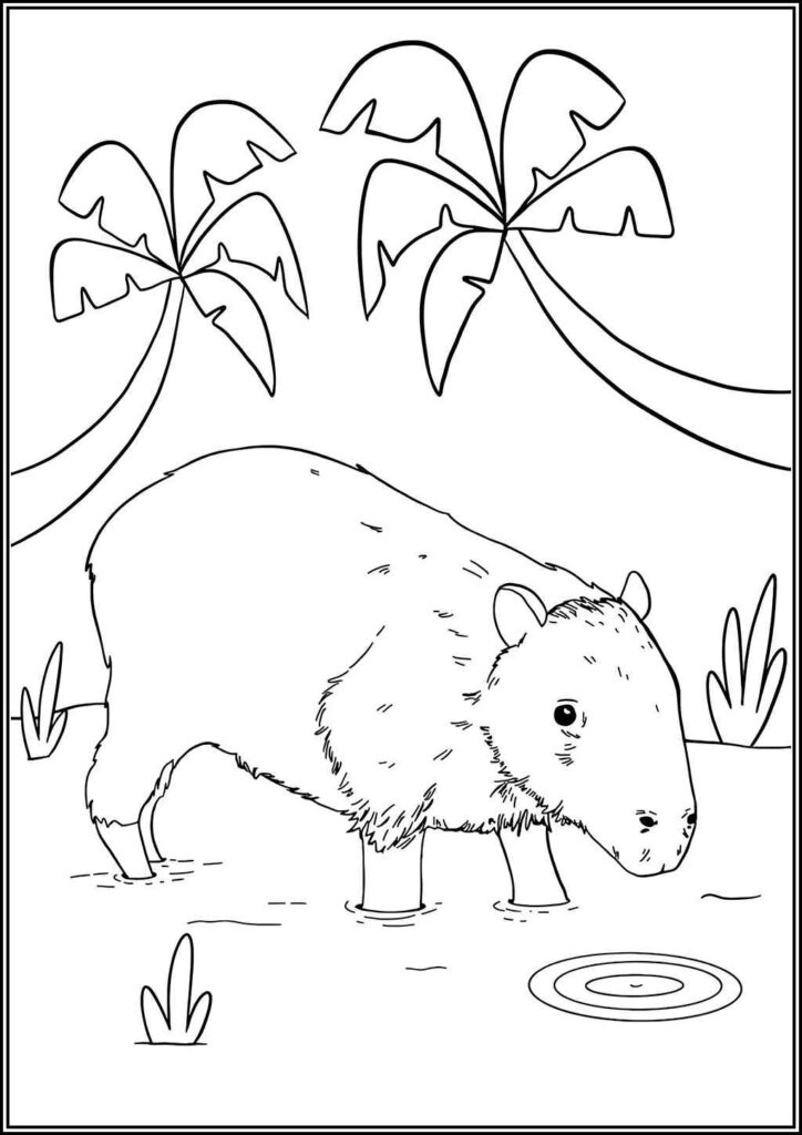 A Capybara Coloring - TotalColoring.Com