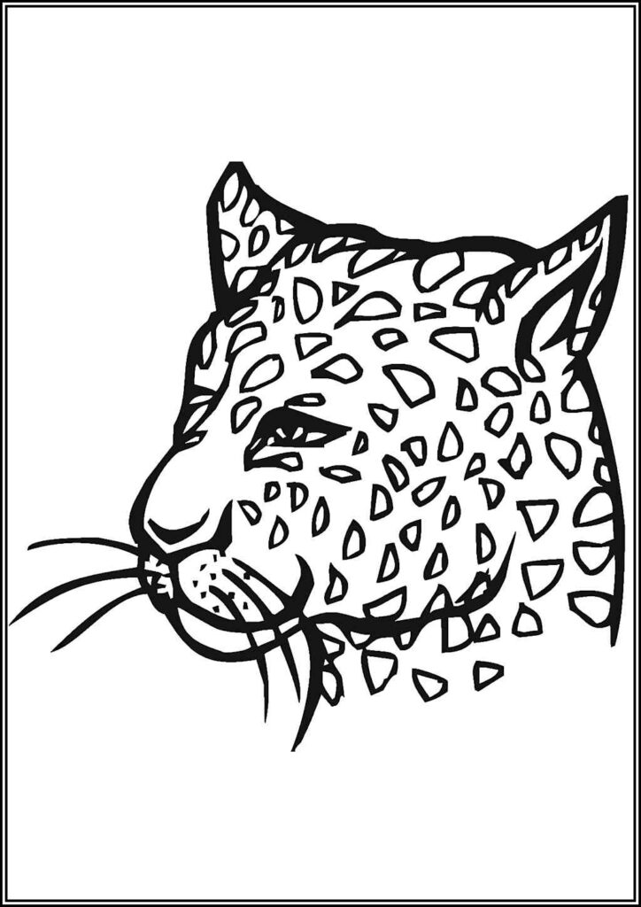 A Cheetah Face Coloring - TotalColoring.Com