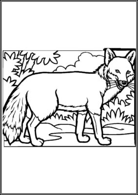 A Fox Coloring - TotalColoring.Com