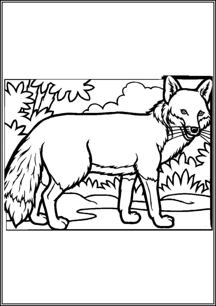 A Fox Coloring - TotalColoring.Com