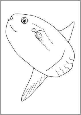 A Sunfish Coloring - TotalColoring.Com