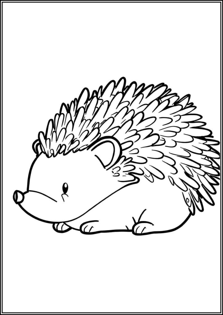 Baby Hedgehog Coloring - TotalColoring.Com