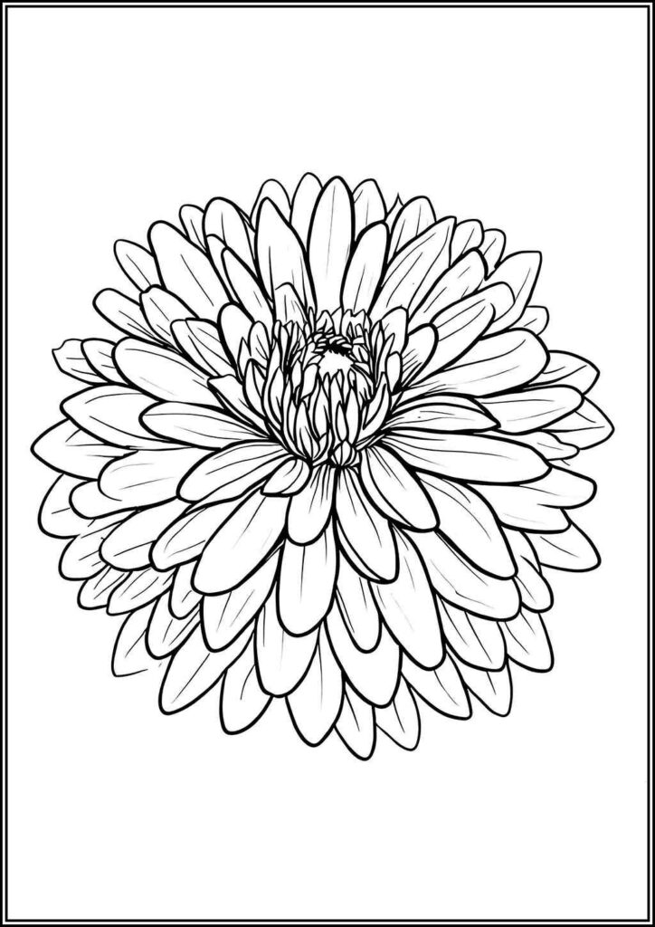 Beautiful Dahlia Flower Coloring - TotalColoring.Com