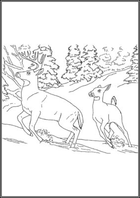 Deer Printable For Kids Coloring - TotalColoring.Com