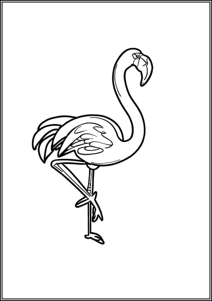 Drawing Of Flamingo Coloring - TotalColoring.Com