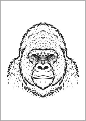 Drawing Of Gorilla Coloring - TotalColoring.Com