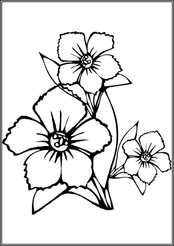 Free Jasmine Flowers Coloring - TotalColoring.Com