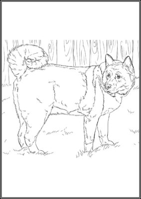 Free Printable American Akita Coloring - TotalColoring.Com