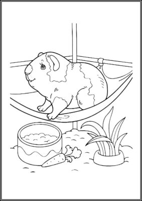 Guinea Pig For Kids Coloring - TotalColoring.Com