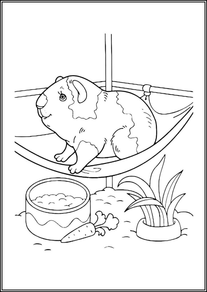 Guinea Pig For Kids Coloring - TotalColoring.Com