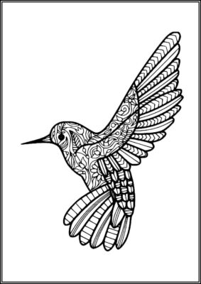 Hummingbird Zentangle Coloring - TotalColoring.Com