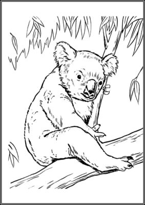 Koala 2 Coloring - TotalColoring.Com