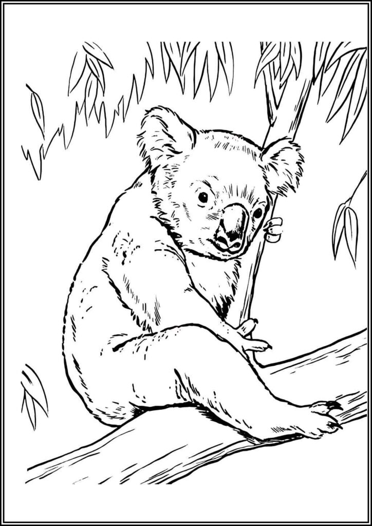 Koala 2 Coloring - TotalColoring.Com