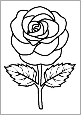 Normal Rose Flower Coloring - TotalColoring.Com