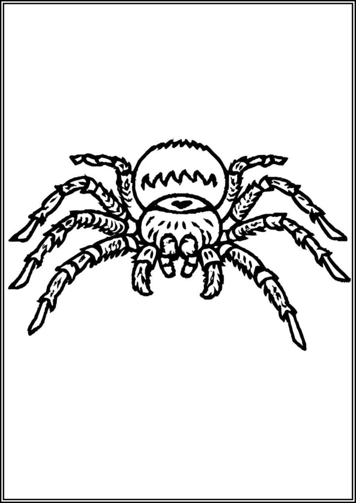 Normal Tarantula Coloring - TotalColoring.Com