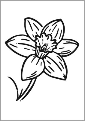 Printable Daffodil Flower Coloring - TotalColoring.Com