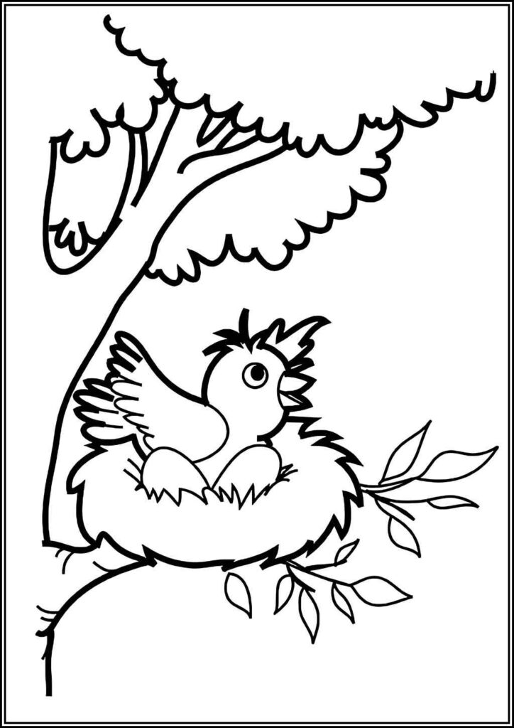 Robin Bird In Nest Coloring - TotalColoring.Com