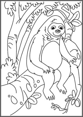 Sloth Is Sitting In The Tree Coloring - TotalColoring.Com