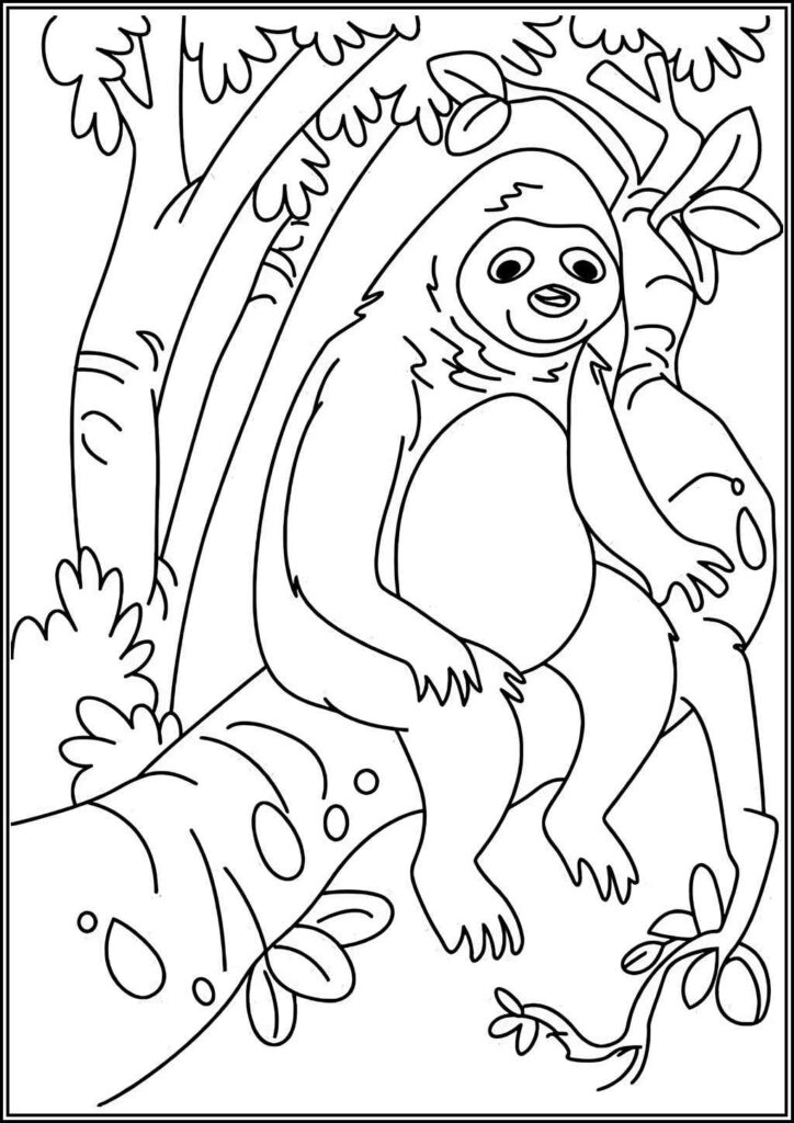 Sloth Is Sitting In The Tree Coloring - TotalColoring.Com