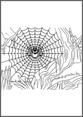 Spider Web Printable Coloring - TotalColoring.Com